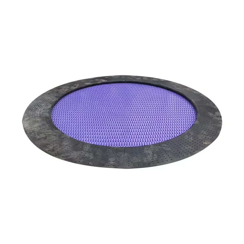 Durable Safe Soft Sport Trampoline Outdoor Backyard Children Exercise Family Fitness Recreational Activities Party Girl