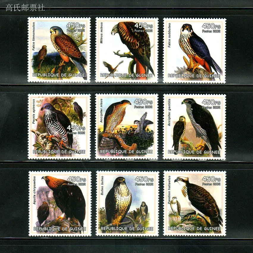 

Штампы для морской почты, год 2002, птицы Raptor Grey Falcon, Золотой Воробей, орл, белый хвост, Харер, 9, новые коллекционные почтовые марки