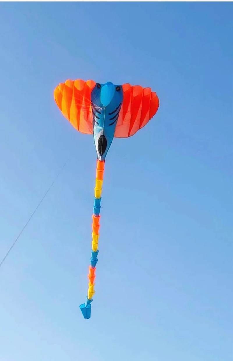 Ray vliegeren opblaasbare vlieger buitenspeelgoed zachte vliegers sport vliegers wiel volwassenen vlieger professionele wind vliegers fabriek weifang