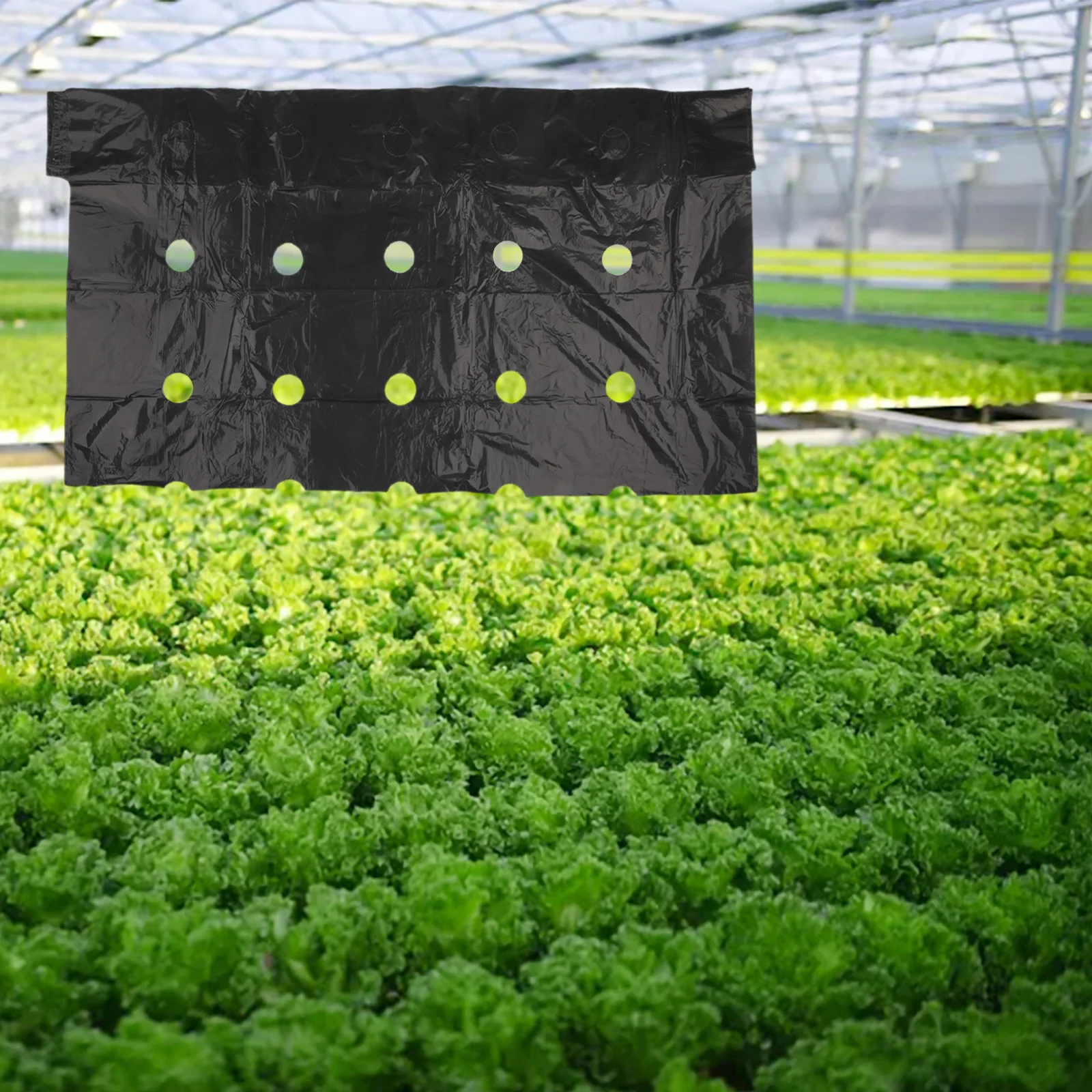 Film plastique avec trou de plantation, 1 pièce, couverture de Film de barrière de contrôle de jardin, feuille de paysage agricole respirante pour jardinage