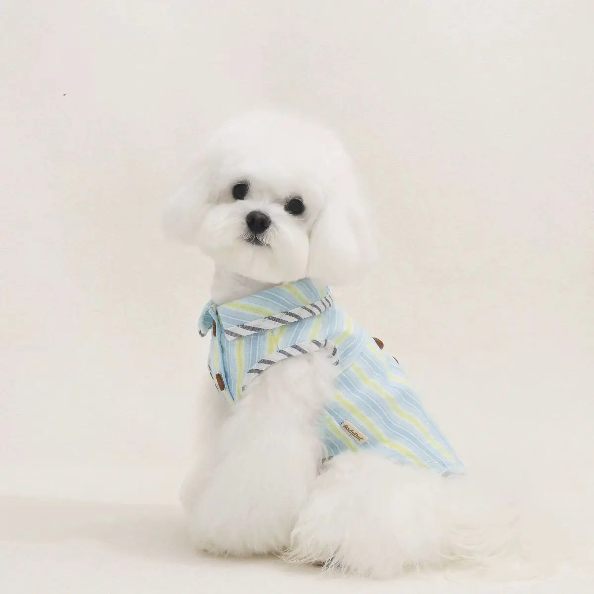 Chaleco camisola refrigerante sin mangas para Schnauzer y Teddy - imagen 4