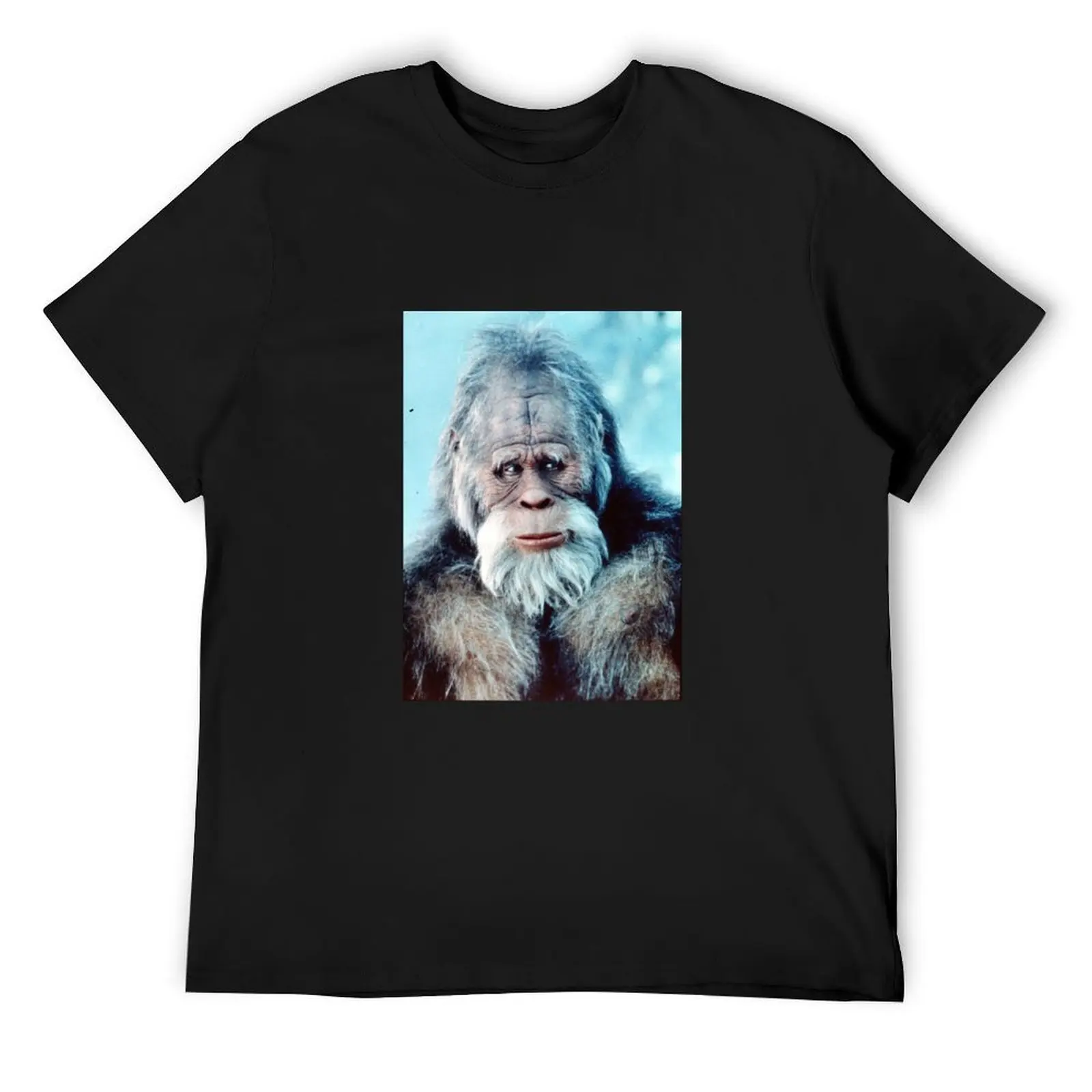 

Harry in the Snow T-Shirt vintage clothes vintage Aesthetic clothing mens vintage t shirts