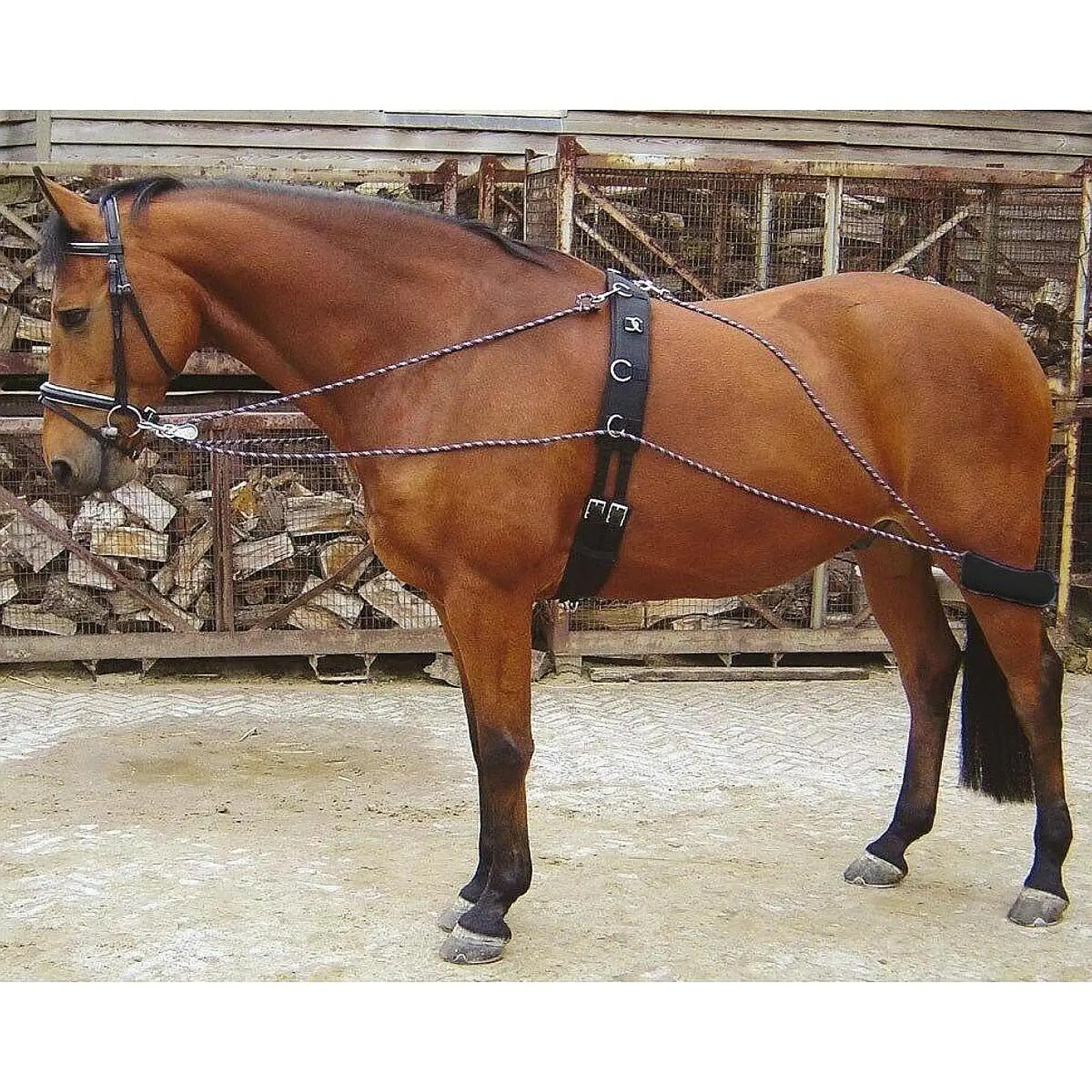horse-lunging-aid-system-adjustable-rope-for-workouts-fitness-pony-cob-horse