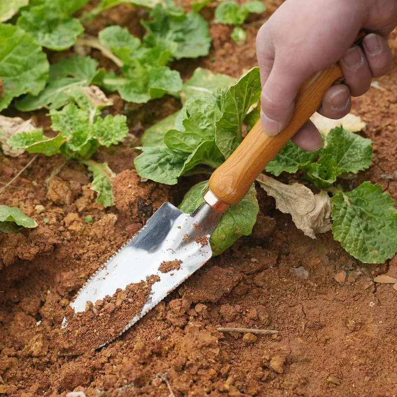 Multi-Function Stainless Steel Garden Shovel - Spade, Manual Weeder, Serrated Weeding Shovel, Home Garden Weeding Tool