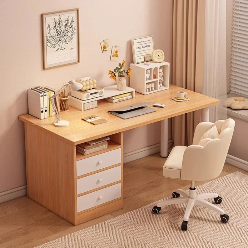 Makeup Living Room Computer Desks Standing Office Accessories Storage Computer Desks Drawers Storage  Library Furniture