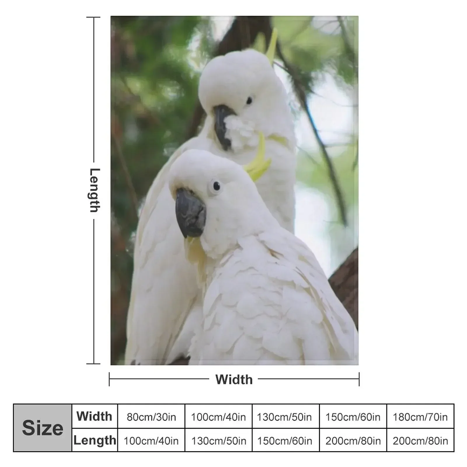 Sulphur Crested Cockatoos in Sydney Throw Blanket couch cozy soft plush fuzzy picnic outdoor blanket