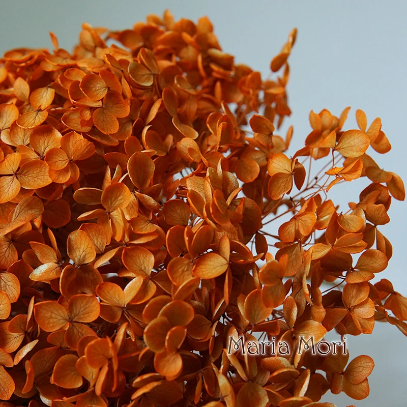 Thumbnail 3 - #14 Trending Dried Flowers Right Now