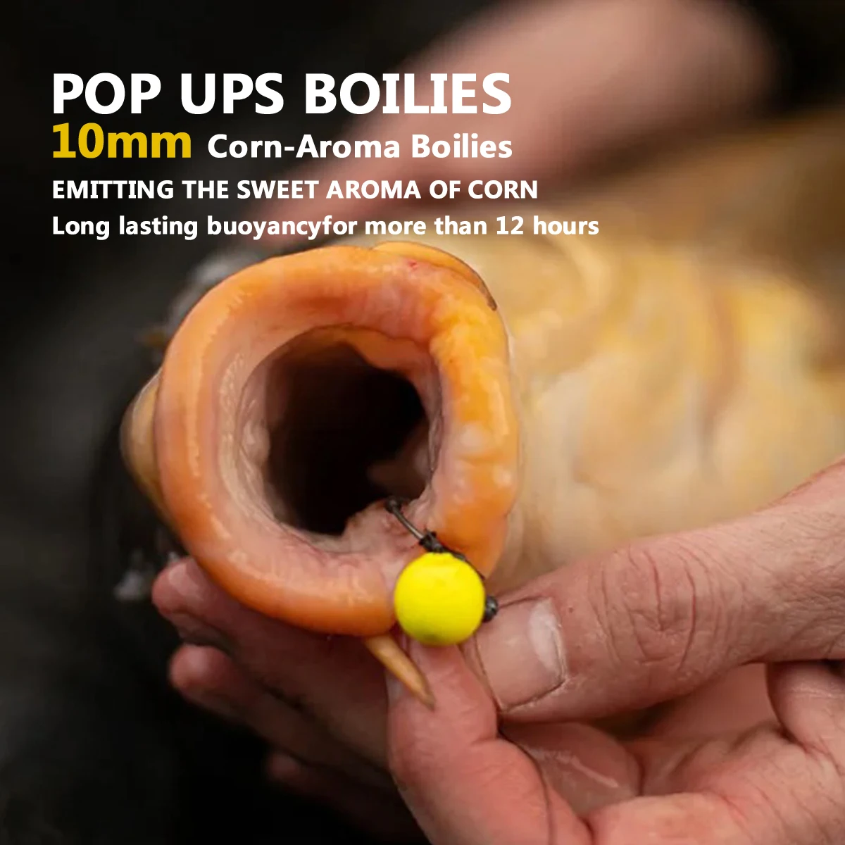 80 Stück 10 mm gelbe Pop-Up-Karpfenköderbälle mit süßem Maisgeschmack | Ideal zum Frühlings-/Sommerangeln | Perfekt für große Karpfen und Wels – Detail 2