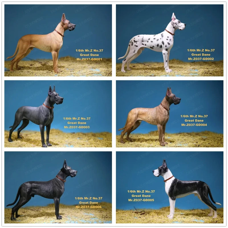 Mr.Z 1:6 Scale German Great Dane Dog Pet Action Figure Animal Model Toy Realistic Decoration Collection Display Fans Gifts