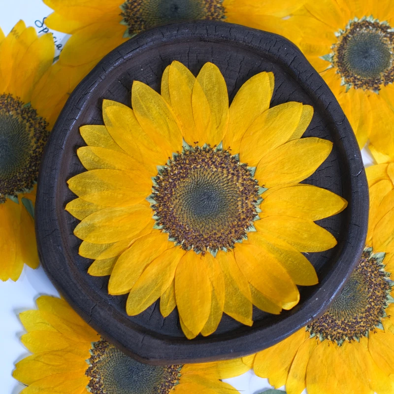 1 Uds., cabeza de flor seca grande de girasol natural, marco de fotos de flores prensadas hechas a mano, pétalos de pintura decorativa artesanal epoxi