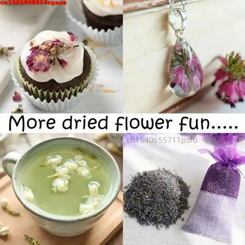 Getrocknete Stevia-Blätter, Bastelzubehör für handgemachte Seife, Kerzenherstellung, Hochzeitsdekoration, DIY-Getrocknete Blumenverzierung – Detail 9