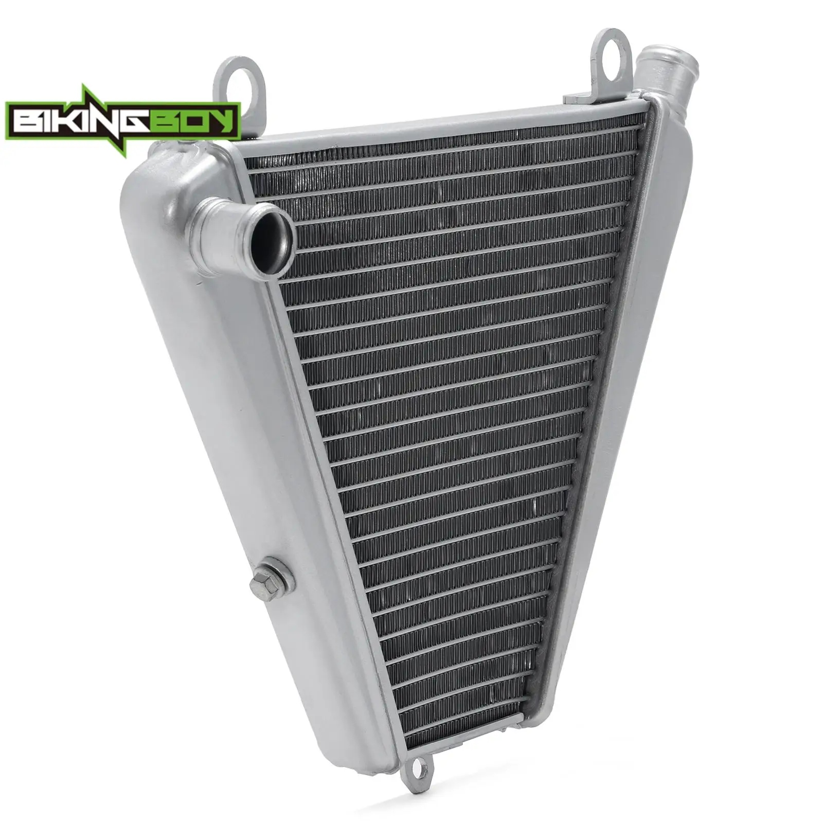 BIKINGBOY For Ducati Panigale 899 959 1299 1199 1199S R 12-19 Panigale V2 20-23 Streetfighter V2 Engine Radiator Cooling Cooler