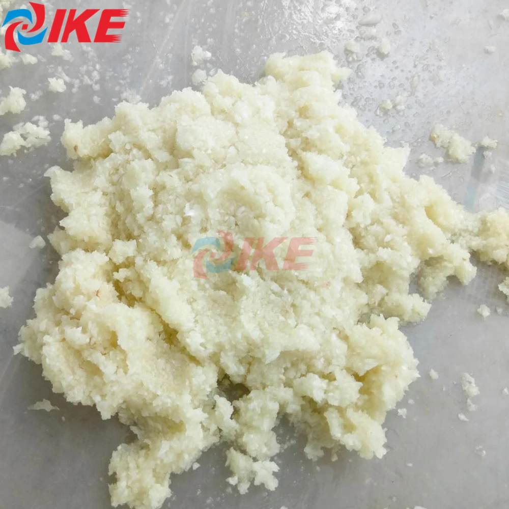 Chinese Selling High Quality New Vegetable Machines Food Process Making Vegetable Ginger Garlic Crushing Machine