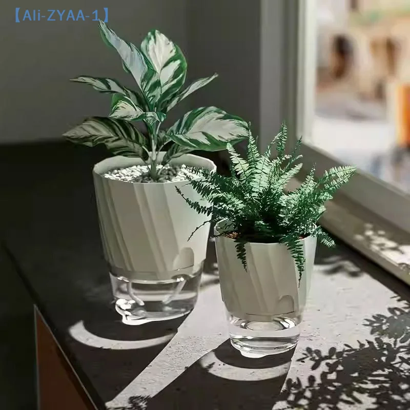 【ZYAA-1】กระถางดอกไม้ไฮโดรโปนิก - Aloe Vera Pot บทวิจารณ์และราคา