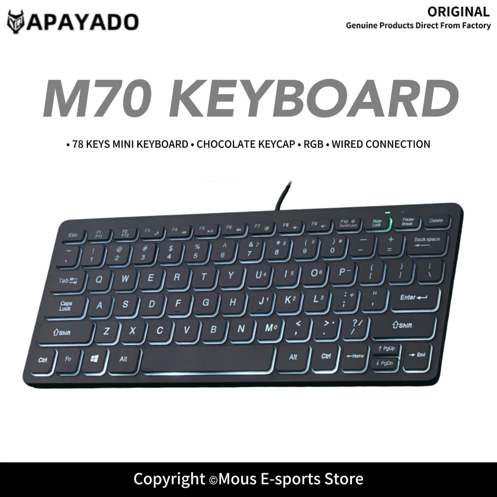 M70 Mini Wired Keyboard 78 Keys Chocolate Keycaps Quiet Typing Colorful LED Luminous Letters Compact USB Keyboard for Office