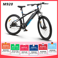 Electric bike M920 Adult E-Eike 36V 13Ah 29/27,5 Inch electric Electric Bicycle Front Fork Suspension Mechanical  disc brakes