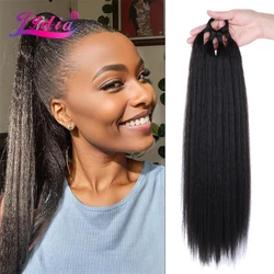 Lydia-Sintético Kinky Extensões Retas com Elástico, Envolva Em Torno De Cavalo, Anel De Cabelo, Preto E Marrom, Boxe Tranças, DIY, 20 pol, 30in