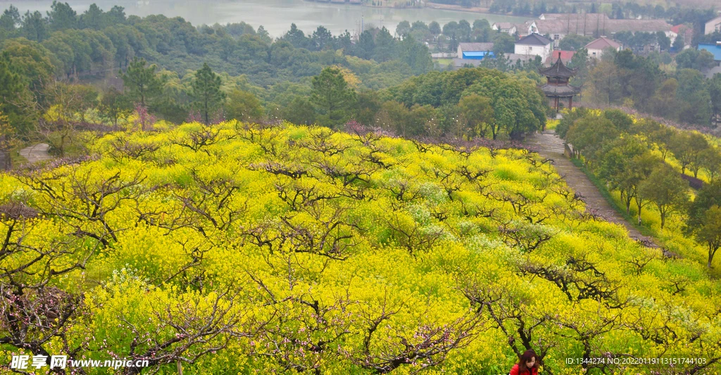 

Металлический комплект для модернизации радиоуправляемых машинок: передний и задний мосты, приводной вал. Подходит для радиоуправляемых моделей MN 1/12 Tank 300, MN82, MN78. Аксессуары для радиоуправляемых машинок.
