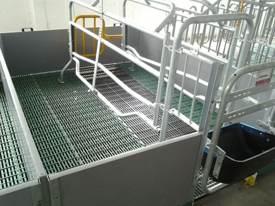Hot Galvanized Fence Pig Crates Equipment Farrowing Crates
