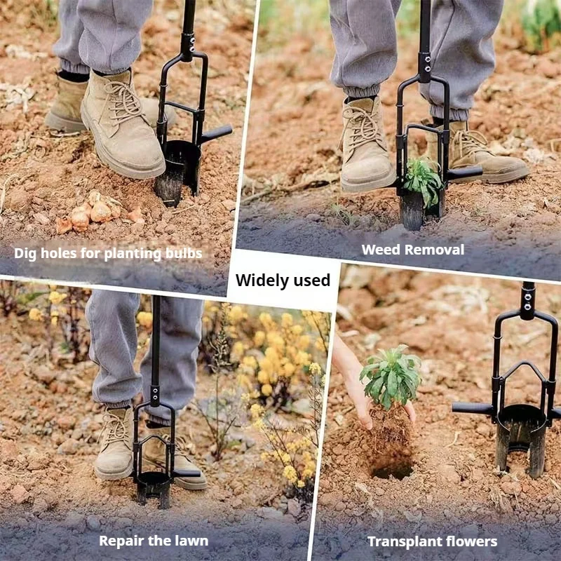 Planteur de semis, outil de jardinage, dispositif de transplantation de maïs végétal et supplément de semis, poinçon d'échantillonnage de sol