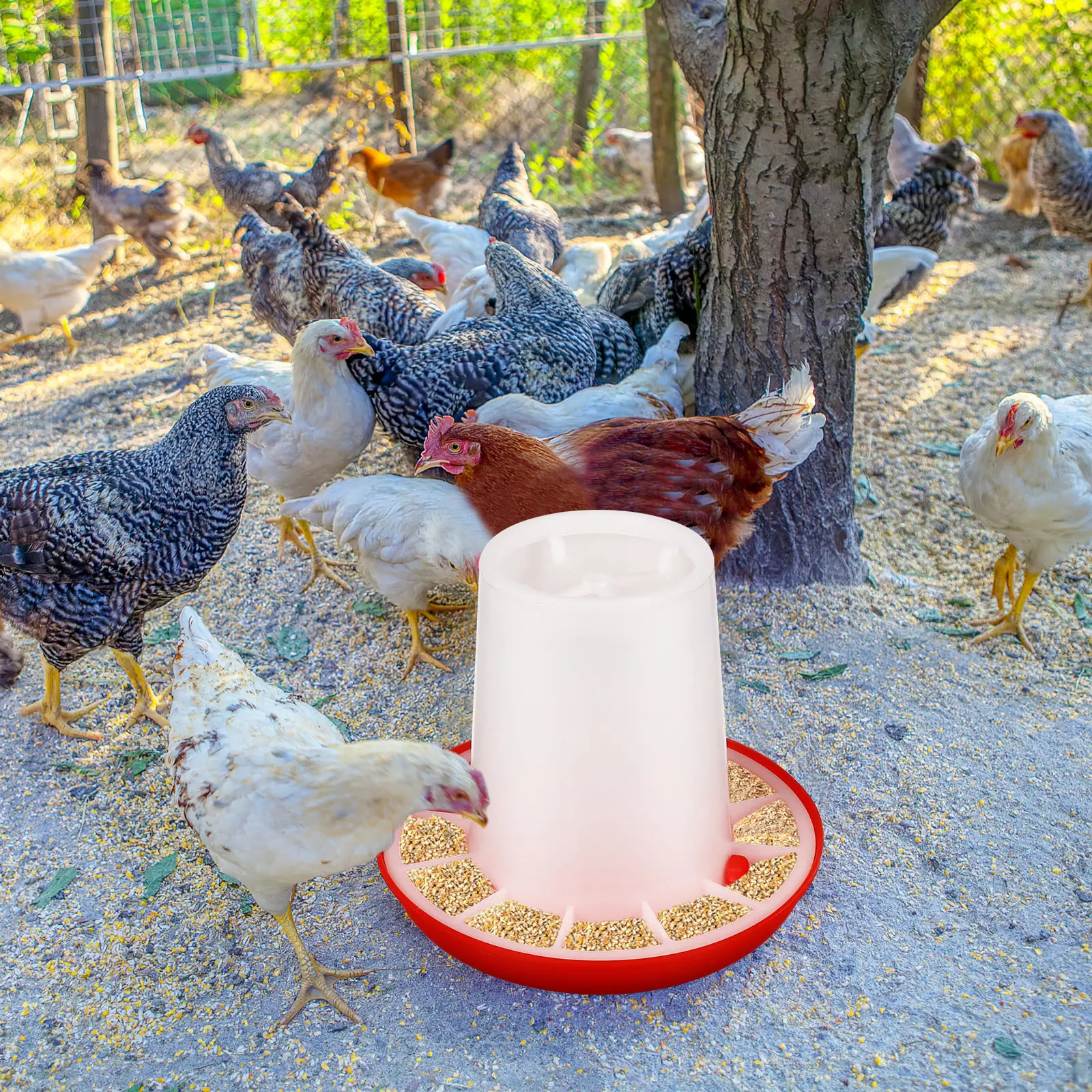 

2 pcs Chicken Feeder 3kg Capacity Durable Plastic Poultry Food Troughs for Chickens Ducks Geese Outdoor Feeding Supplies
