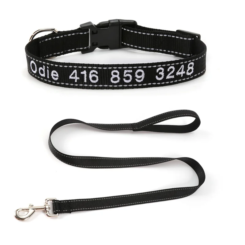 Collier Chien Personnalisé Prénom & Téléphone