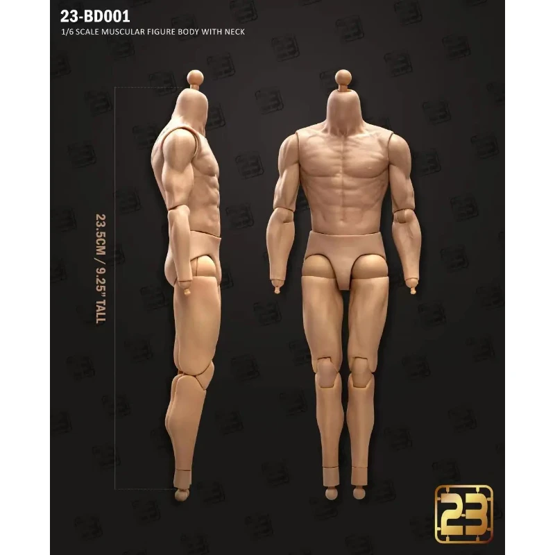 23TOYS 23-BD001 BD003 1/6 Male Soldier Standard Muscle Joint Body 23.5cm - 27.5cm Male Soldier Action Figure Articulate Body