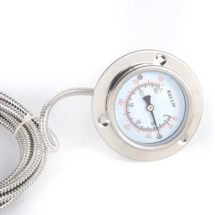 WTZ-63 エッジ付きアキシャルステンレス鋼圧力温度計、ライン長さ 3m、ネジ 1/2、プローブ 10*100mm。 C.