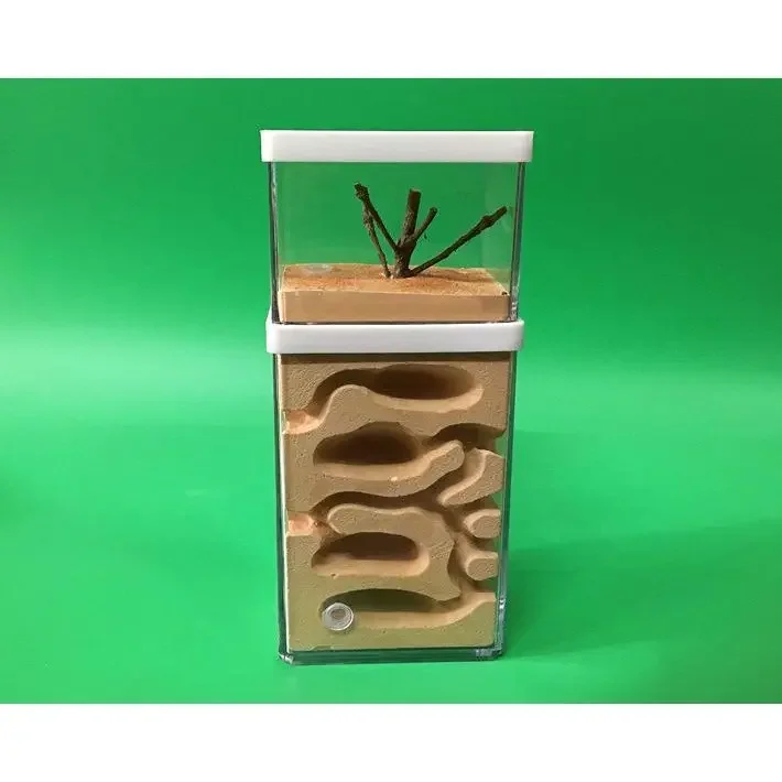 Ant Nest Gypsum Ant… - image