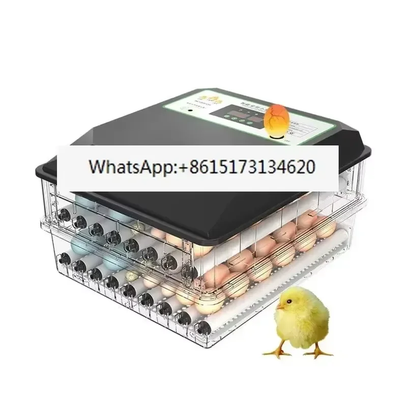 This compact automatic poultry egg incubator offers a reliable solution for hatching chicken, broiler, and pigeon eggs