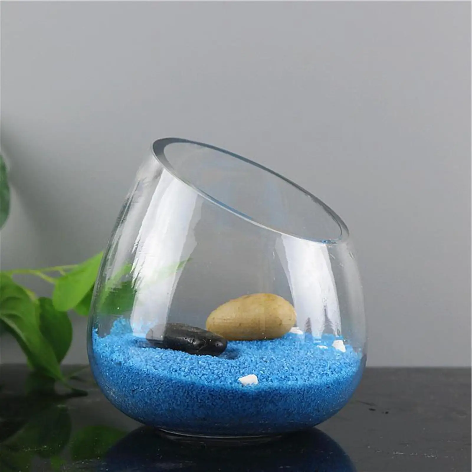 Vase en verre à coupe inclinée, terrarium pour plantes à l'air, bol de terrarium, plat à bonbons précieux, pot de fruits, vase à fleurs pour pièce maîtresse