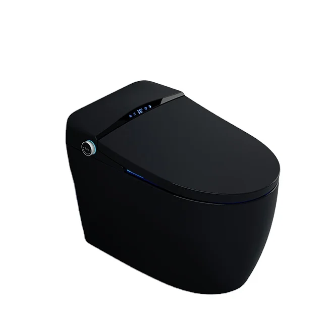 

DUTRIEUX110V/220V Современный электрический интеллектуальный унитаз для туалета Автоматический черный умный унитаз с подогревом сиденья для биде