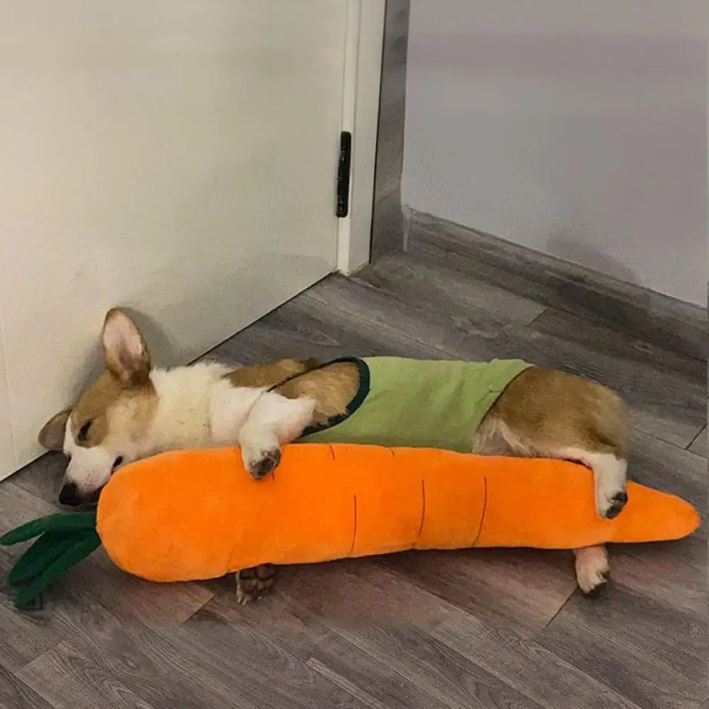 

Giant Carrot Plush Dog Toy,Dog Chew Toy with Sound,Interactive Bite-Resistant Toy for Small Medium Large Dogs