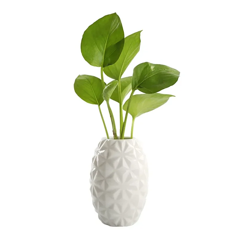 Nordic Ceramic Vase for Dried Flowers Hydroponic Water Culture Home Decor Living Room Display Modern Minimalist Flower