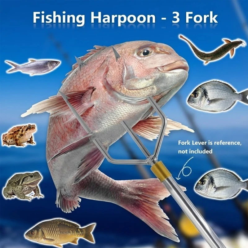 1-15 Prong Stainless Steel Fishing Harpoon with Gig Gaff Hook Barb Fit 8mm  Fishing Rod Fish Spear Gaffs for Hunting Fish Frog - AliExpress