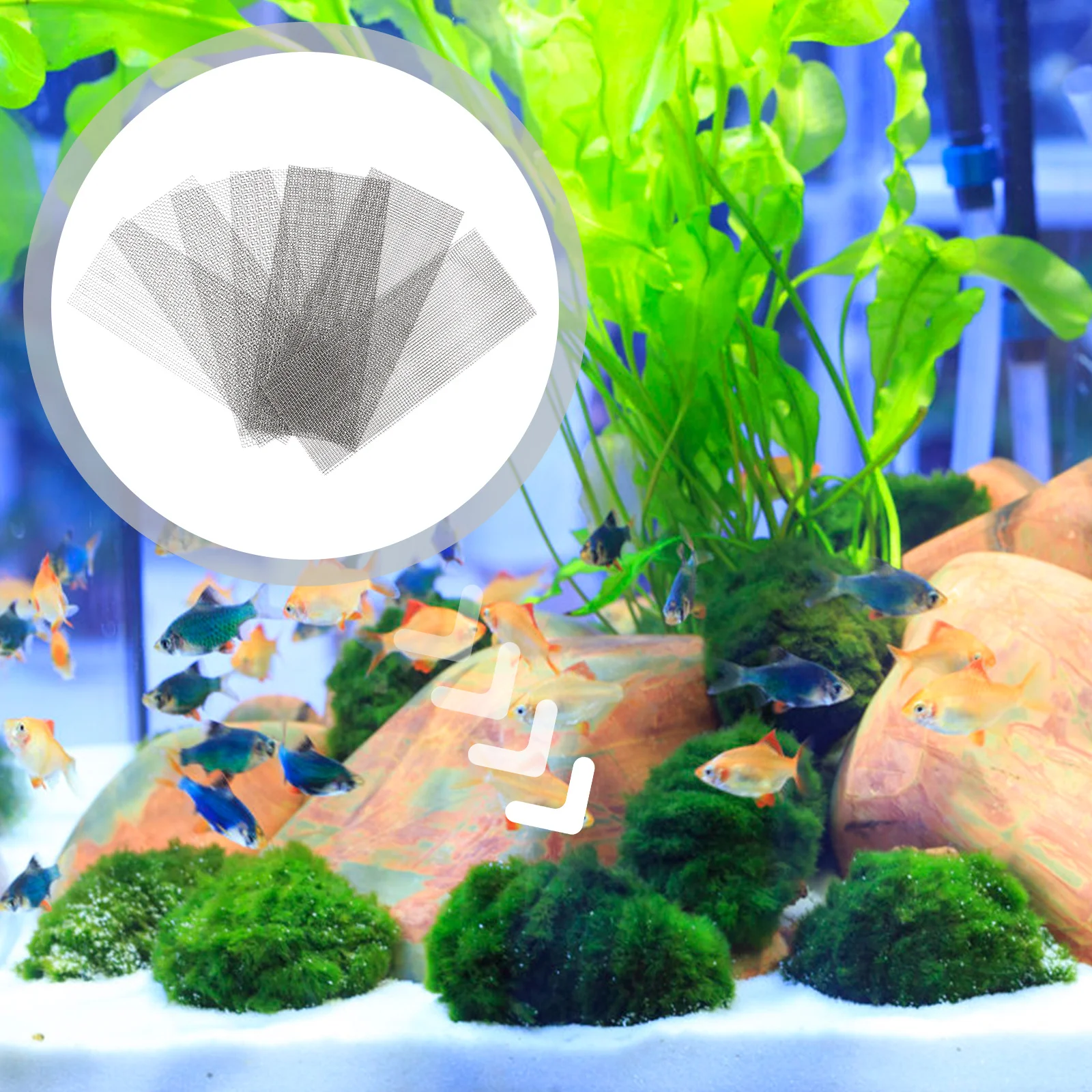 10 pçs de aço inoxidável água grama malha almofada aquário musgo fixação net à prova ferrugem acessório decoração do tanque peixes