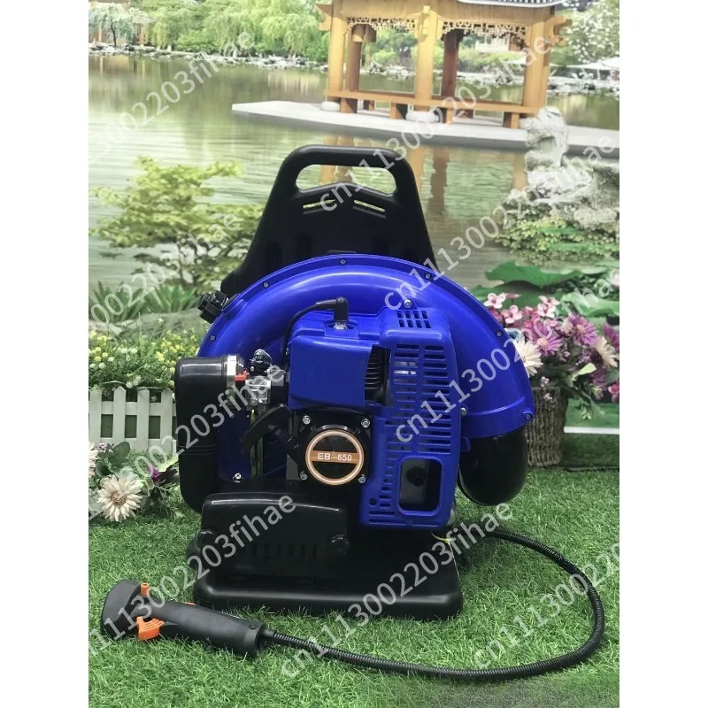 Portable Fuel Cost Engine Two Stroke Snow Remover Construction Site Dust Blowing