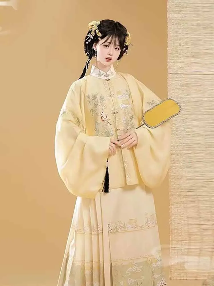 مقاس كبير 10XL فستان هانفو صيني للنساء تأثيري سلالة مينغ القديمة تنورة مطرزة على وجه الحصان هانفو زي نسائي