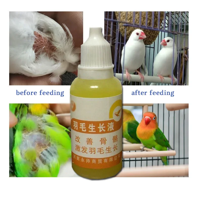 Bird With Feather A…