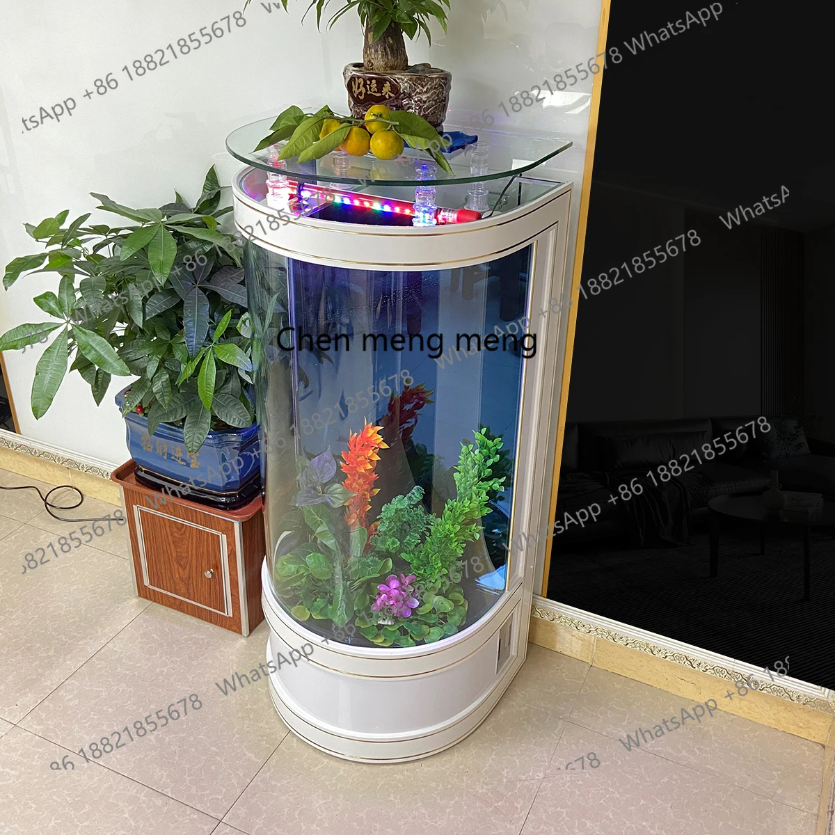 Thumbnail 2 - #10 Best Glass Aquarium Tanks to Buy In 2026