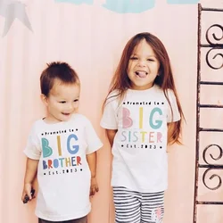 Kids Summer Brother and Sister Matching T-shirt Big Bro Little Sis Printed Letter Round Neck Kid's T-shirt Baby Bodysuit