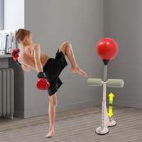 Punching Bag with Stand Speed Boxing Bag for Teens & Adults Dual Suction Cup Boxing Training Ball