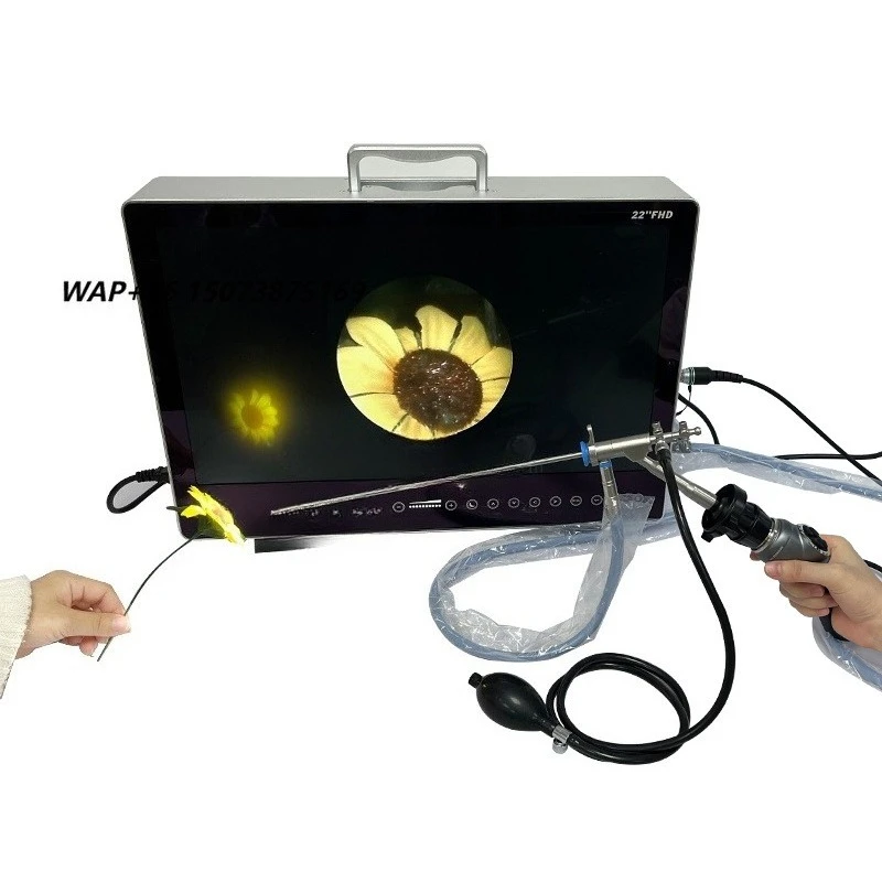 SY-WP01 Dog/Cat Disposable Range High definition Veterinary Laparoscopic Instrument with USB Output