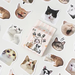 Pegatina adhesiva pequeña de gato sorpresa Kawaii para niños, 46 piezas, estética colorida, decoración DIY, álbum de recortes, papelería, suministros escolares