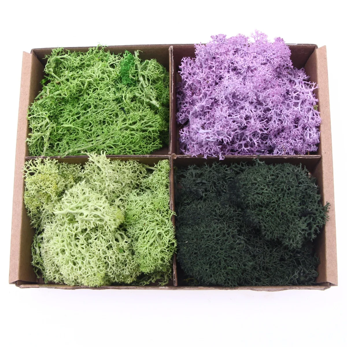 Micro-landscape landscaping immortal flower moss, simulated green plants, background wall photo frame reindeer moss material pac