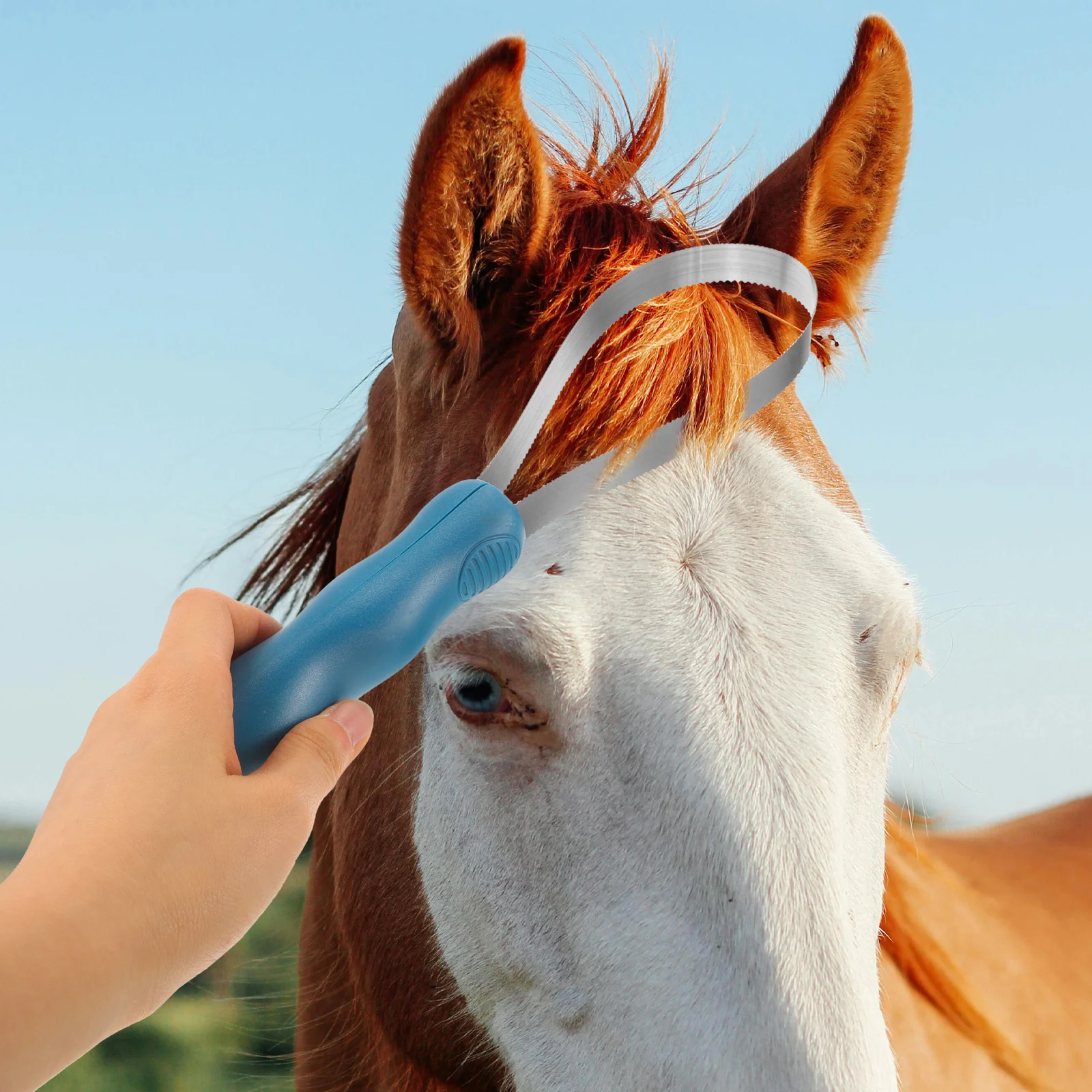 Escova de cavalo trança dura derramamento pet aço inoxidável cabelo serrilhado kit aliciamento lâmina noivo