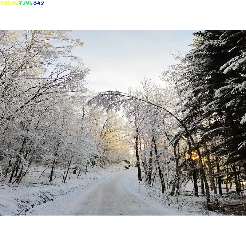 Winter Forest Snowcovered Road Photography Backdrops Blurred Landscape Snowflakes Road Spruce Trees Photo Background XD-09