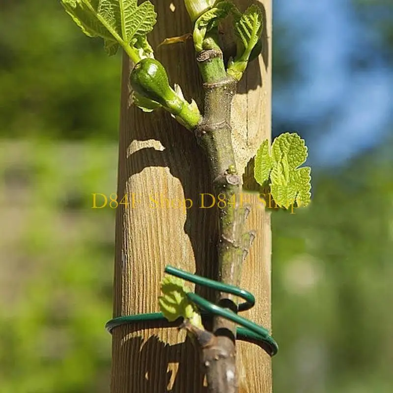 D84F Garden Wire Ties Plant Wire Soft Green Coated Twist Plant Ties Green Plant Ties