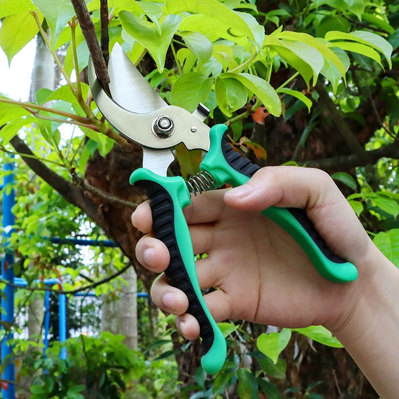 Tijeras profesionales afiladas para plantas, para horticultura podadora, corte de arbustos, jardín, acero inoxidable, herramientas para ramas, 1