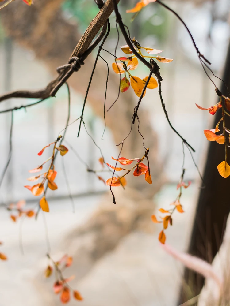 

Autumn Wild Berry Leaves Vine Simulation Winding Vine Vertical Branch Decorative Floral Autumn Zen Atmosphere